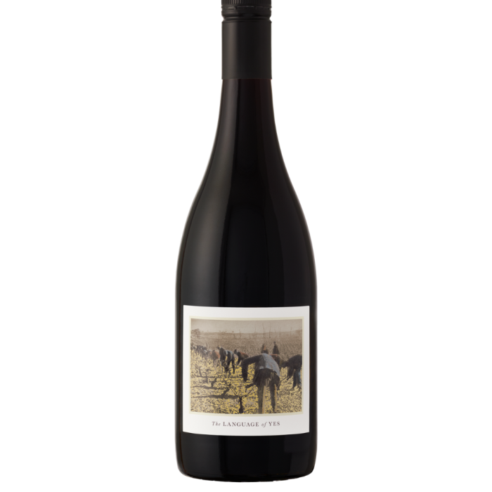 The Language Of Yes Grenache